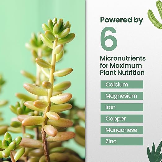 32oz Succulent Fertilizer - Makes 64 Gallons of Succulent Plant Food for Succulents Plants Live, Liquid Fertilizer for Succulents - Promotes Vibrant Leaves, Resilient Roots, and Plump Growth