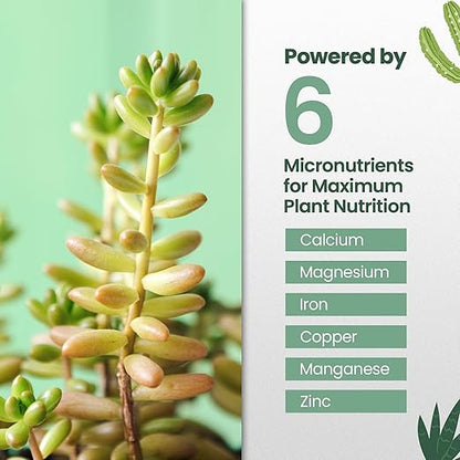32oz Succulent Fertilizer - Makes 64 Gallons of Succulent Plant Food for Succulents Plants Live, Liquid Fertilizer for Succulents - Promotes Vibrant Leaves, Resilient Roots, and Plump Growth