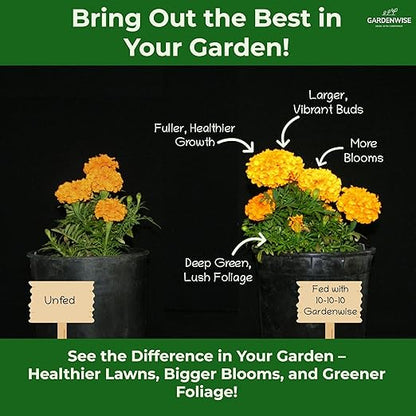 10-10-10 Plant Fertilizer Slow Release - 10 10 10 All Purpose Granular Garden Fertilizer for Vegetables, Tomato, Arborvitae, Shrubs, Rose, Flowers, Fruit, Fig Trees (2 QUARTS)