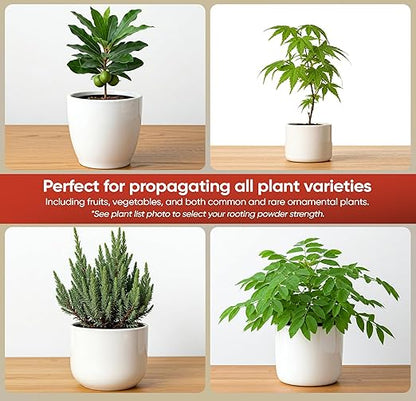 Hormex Rooting Hormone #16 - Highest-Potency Rooting Powder for Hard-to-Root Woody Plants & Tree Cuttings | Ensures Propagation Success for Difficult Plants (1.6% IBA)