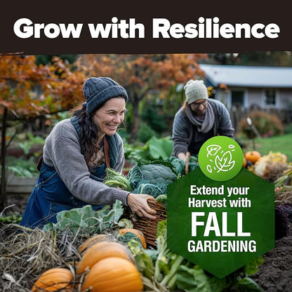 HOME GROWN 12 Fall Vegetable Seeds 6,000+ Heirloom Seeds for Fall & Winter Planting – Beets, Broccoli, Cabbage, Kale, Onion, Pumpkin, Turnip, Lettuce, Peas & More for Home Garden