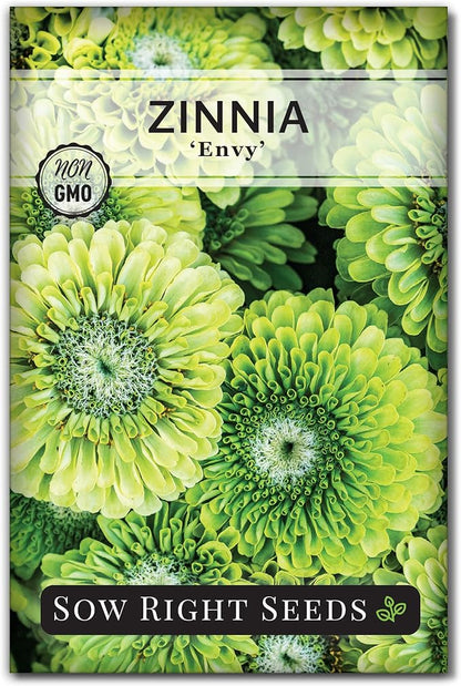Sow Right Seeds - Zinnia Envy Flower Seeds for Planting - Beautiful Flowers to Plant in Your Garden - Non-GMO Heirloom Seeds - Chartreuse Green Variety - Attract Pollinators - Giant Cut Flower (1)