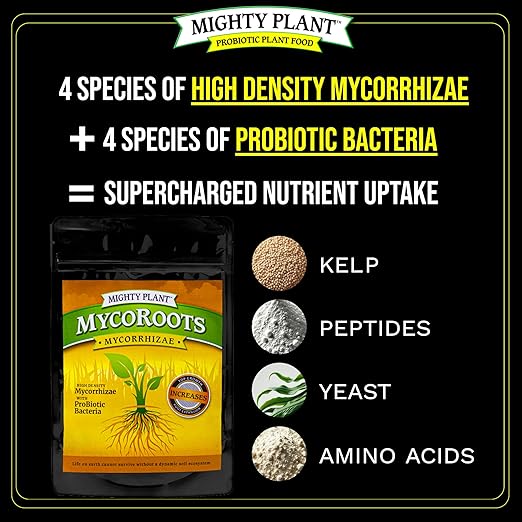 Organic Root Enhancer 500 Spores/Gram Ultra-Concentrated Mycorrhizal Fungi – MycoRoots for Optimal Plant Growth & Health | Boost Soil Nutrient Absorption (1, Pounds)