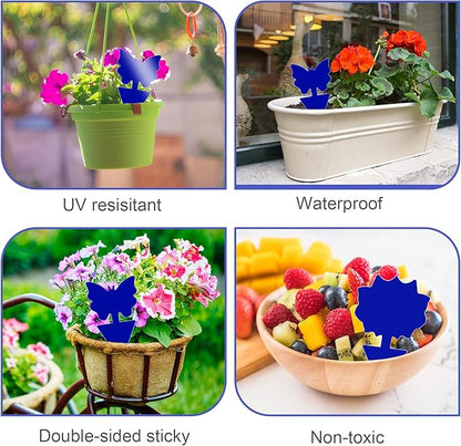 Fruit Fly Traps, 100 Pack Blue Sticky Traps, Fungus Gnat Traps, Plant Fly Stickers for Indoor and Outdoor Use Protect The Plant