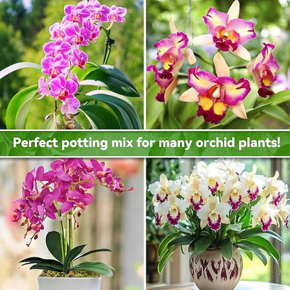 Riare 6QT Orchid Potting Mix for Repotting- Orchid Repotting Kit Include Moss, Pine Bark, Perlite, Coco Peat- Premium Orchid Soil Medium for Indoor Potted Plants Root Ventilation & Expanding