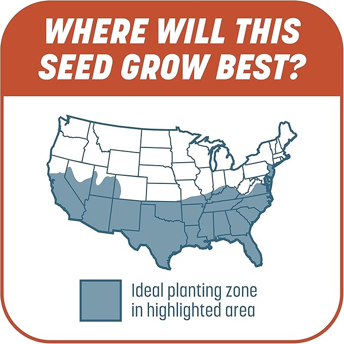 Pennington Smart Patch Bermudagrass Mix Jug 5 lb