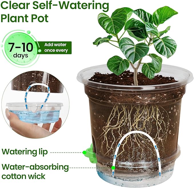 MIXC 18 Packs 6.5/5/4 Inch Self Watering Pots for Indoor Plants - Clear Nursery Plant Pots with Drainage, Deep Visible Reservoir - Flower Planter Outdoor with Wicking Rope