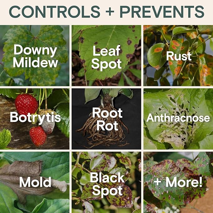 Organic Fungicide for Plants – Liquid Concentrate for Indoor & Outdoor Use; Treats Powdery Mildew, Leaf Spot, Root Rot & Lawn Diseases; Mushroom & Rust Control; Safe Around Kids, Pets & Pollinators