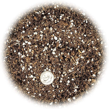 GARDENERA Premium Jade Plant Potting Soil Mix - (3 Quart Bag)