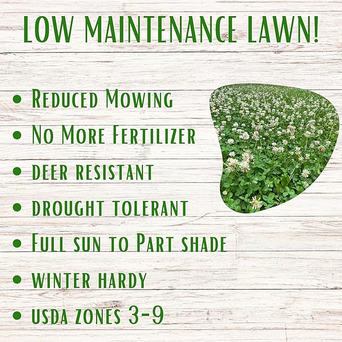 Flawn Seed Kits White Dutch Clover Seed, 4.4 Oz, Organic Coated, Natural Lawn, Ground Cover, Hunting Food Plot, Covers up to 1,000 SqFt