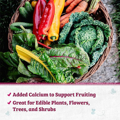 Back to The Roots 100% Organic Blood Meal | Made in The USA | Premium Nutrition for Indoor and Outdoor Plant Gardening