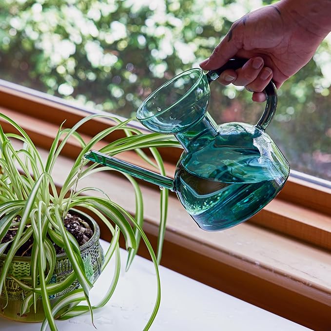 Modern Sprout Plant Watering Can - Handcrafted from Borosilicate Glass - Long Spout Vessel for Indoor Plants - 32 Oz Capacity - Multipurpose Watering Can and Flower Vase for Houseplants (Teal)