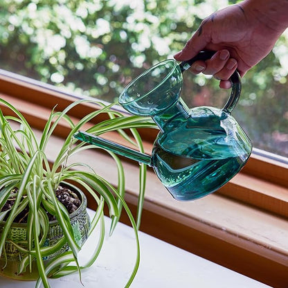 Modern Sprout Plant Watering Can - Handcrafted from Borosilicate Glass - Long Spout Vessel for Indoor Plants - 32 Oz Capacity - Multipurpose Watering Can and Flower Vase for Houseplants (Teal)