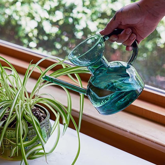 Modern Sprout Plant Watering Can - Handcrafted from Borosilicate Glass - Long Spout Vessel for Indoor Plants - 32 Oz Capacity - Multipurpose Watering Can and Flower Vase for Houseplants (Teal)