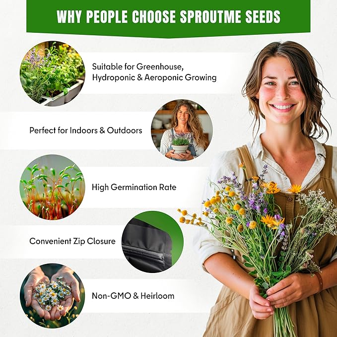 Fall & Winter Fennel Seeds for Indoor & Outdoor Planting – 150+ Non-GMO Heirloom USA-Grown Sweet Anise-Flavored Culinary Herb with High Germination (Foeniculum vulgare)