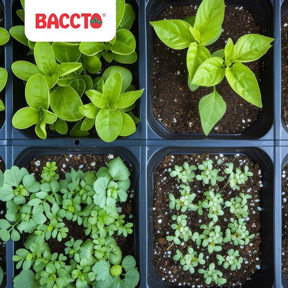 Michigan Peat 4-Pack Compost and Manure Blend, Garden Magic Mix w/Odor-Free Blend, 40 Lbs - Outdoor Lawn and Gardening Mixture with Nutrients and Minerals for Soil Potting and Planting