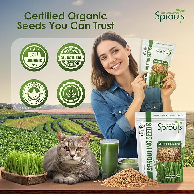 Nature Jims Sprouts Wheat Grass Seeds – Non-GMO Organic Seeds for Planting, Cat Grass Kit Planter & Sprouting –Resealable Bag for Fresh Wheatgrass Sprouts – Packed with Vitamins, Fiber & Minerals–16oz