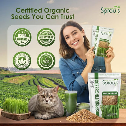 Nature Jims Sprouts Wheat Grass Seeds – Non-GMO Organic Seeds for Planting, Cat Grass Kit Planter & Sprouting –Resealable Bag for Fresh Wheatgrass Sprouts – Packed with Vitamins, Fiber & Minerals–16oz