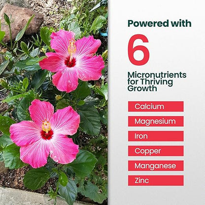 16oz Hibiscus Fertilizer - Makes 16 Gallons of Hibiscus Flowers Plant Food Outdoor - Indoor Plant Fertilizer Liquid for Vibrant, Showy Flowers, Greener Leaves, Strong Roots, and Lush Growth