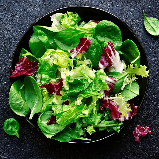 Back to The Roots 100% Organic Seed Packet - Lettuce 'Green Leaf Black Seeded Simpson' 420mg