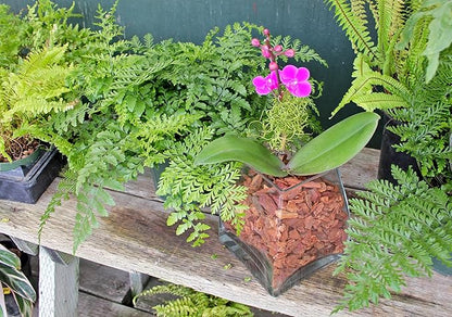 SuperMoss (23112) Orchid Potting Bark, 100% Natural Douglas Fir Bark, 3/4", 2 Cu. Ft.