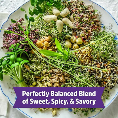 Back to The Roots 100% Organic 5-Part Salad Seeds | 1 Pound Non-GMO | Nutrient Dense, Easy to Grow, Rich in Fiber