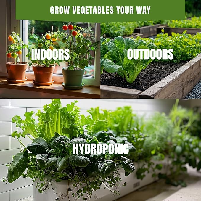 Fall & Winter Broccoli Seeds for Indoor & Outdoor Planting – 300+ Non-GMO Heirloom USA-Grown Tender Heads & Florets, High Germination (Brassica oleracea VAR. Italica)