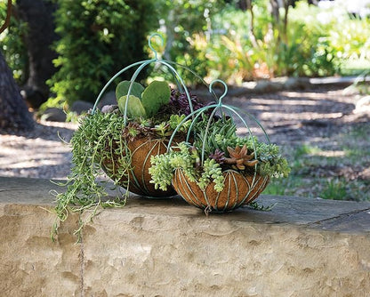 SuperMoss Leeds Sphere Black Metal 10" Hanging Basket