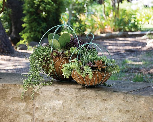 SuperMoss Leeds Sphere Black Metal 10" Hanging Basket