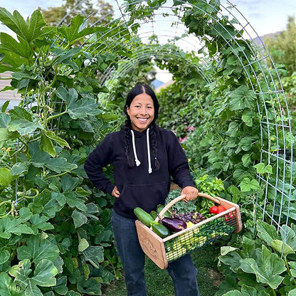 Thirsty Earth: CottaCup Automatic Olla Watering System for Your Garden (5 Cup Kit)