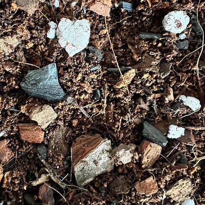 rePotme Fig & Ficus Potting Soil - Imperial Houseplant Mix - Junior Bag (4 Quarts) - Great Potting Mix for Indoor Plants