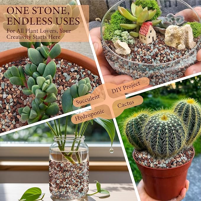 2.5LB Lava Rocks for Plants-3/8 Volcanic Rock for Succulent Potting Mix, Cactus, Orchids & Bonsai-Porous Horticultural Grit for Drainage, Aeration & pH Balance - Decorative Top Dressing