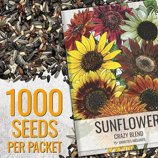 Seed Needs Sunflower Seeds for Planting The Original Crazy Blend | 1 Ounce 15+ Heirloom Varieties Open Pollinated & Untreated | Resealable Bulk Package Multicolored Blooms Flower Seeds