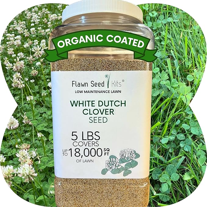 Flawn Seed Dutch White Clover Seed, 5 Lbs, Organic Coated, Natural Lawn, Ground Cover, Food Plot, Zones 3-9, Covers up to 18,000 Sqft