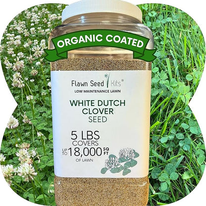 Flawn Seed Dutch White Clover Seed, 5 Lbs, Organic Coated, Natural Lawn, Ground Cover, Food Plot, Zones 3-9, Covers up to 18,000 Sqft
