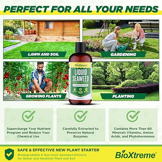 Liquid Seaweed Premium Concentrate - All Natural Kelp Fertilizer - Enhances Plant & Flower Growth + Seed Germination & Root Development - 16 Oz