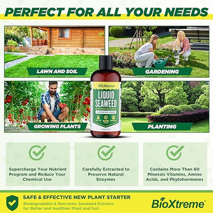 Liquid Seaweed Premium Concentrate - All Natural Kelp Fertilizer - Enhances Plant & Flower Growth + Seed Germination & Root Development - 16 Oz