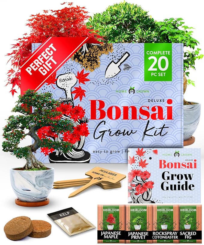 HOME GROWN Bonsai Tree Kit – Premium Ceramic Starter Set with 4 Bonsai Varieties – Easy Indoor Gardening Gift for Men & Women – Unique Plant Kit for Beginners & Nature Lovers