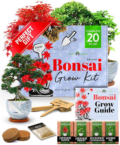 HOME GROWN Bonsai Tree Kit – Premium Ceramic Starter Set with 4 Bonsai Varieties – Easy Indoor Gardening Gift for Men & Women – Unique Plant Kit for Beginners & Nature Lovers