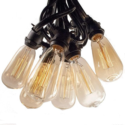 Hometown Evolution, Inc. Commercial Edison Bulb Outdoor String Lights with Hand-Threaded Filament (ST40 Lantern Edison - Commercial Black Wire, 25 ft)