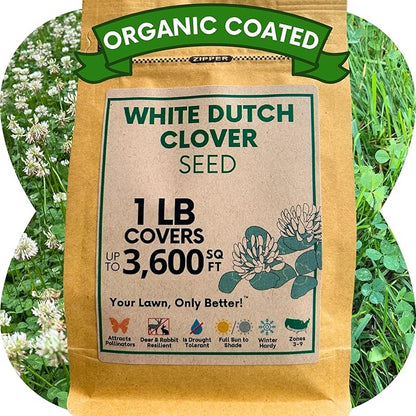 Flawn Seed Kits White Dutch Clover Seed, 1 Lb, Organic Coated, Natural Lawn, Ground Cover, Hunting Food Plot, Covers up to 3,600 Sqft