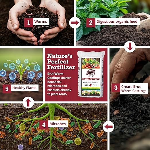 Brut Organic Worm Castings for Plants 12 LB – Natural Nutrients, Fertility Builder, Plant Food for Potting Soil and Garden Soil – Indoor and Outdoor Use