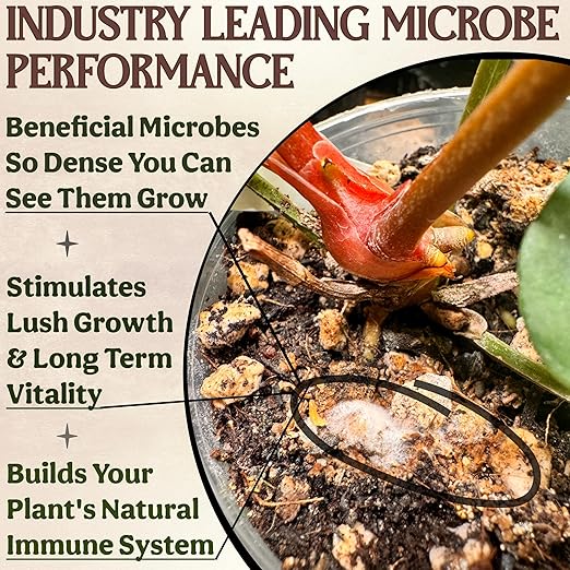 Organic Plant Food, Indoor Plant Food for Houseplants & Aroids, Organic Fertilizer for Flower & Vegetable Gardens, 1lb = 25 Servings, Feeds 50 gal Instantly and Slow Release