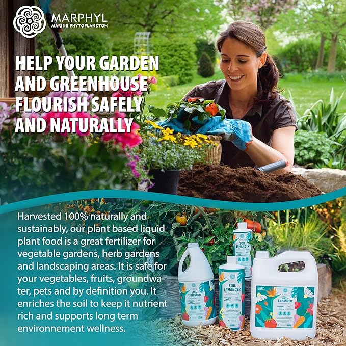MARPHYL Organic Liquid Fertilizer - Outdoor & Indoor Plant Food - All-Purpose, Nutrient-Rich Lawn Fertilizer & Soil Enhancer for House Plants, Flowers, Vegetables, Succulents, Bamboo, Hydroponics