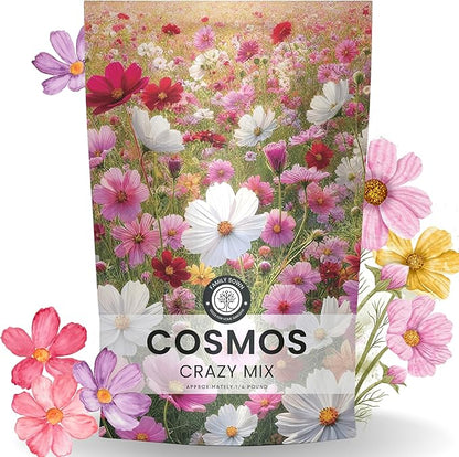 Crazy Cosmos Mix - Bulk 1/4 Pound Pouch - 20,000 Flower Seeds for Planting - Cosmos bipinnatus