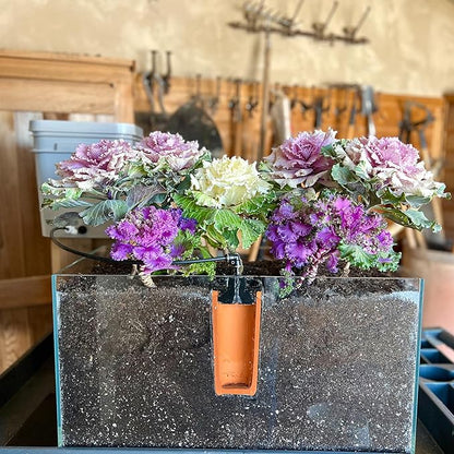 Thirsty Earth: CottaCup Automatic Olla Watering System for Your Garden (4 Cup Kit)