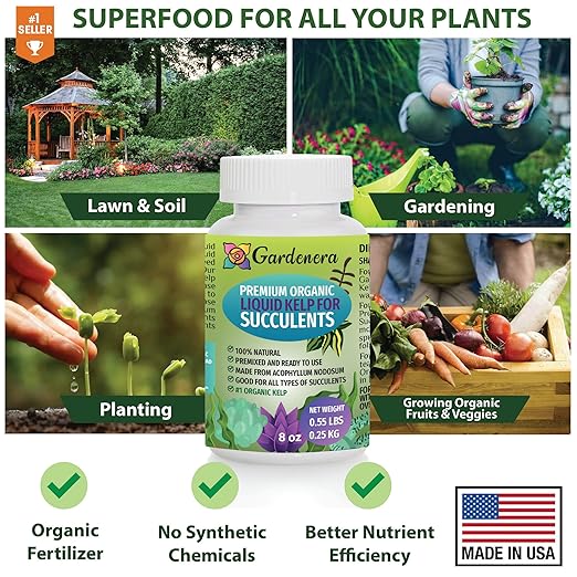 GARDENERA Premium Organic Seaweed & Kelp Superfood for Succulents & Cacti Plants - 32 oz - Liquid Kelp Fertilizer Concentrate (Makes 180 Gallons)