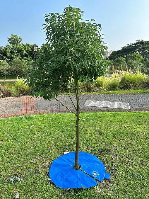 12+ Hours Slow Release Tree Watering Bag/Ring - 15 Gallon, by Discipline Essentials, Ideal for Newly Planted Trees and Shrubs (8-Pack)