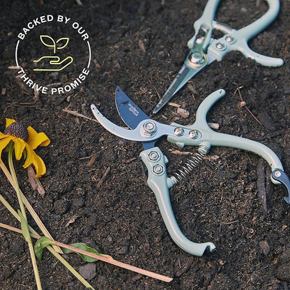 Modern Sprout Hand Pruners & Shears Set - Lightweight Gardening Tools W/Easy Lock - Sharp Carbon Steel Blades -Rust Resistant Scissors for Herbs, Flowers - Reusable Holster - Green