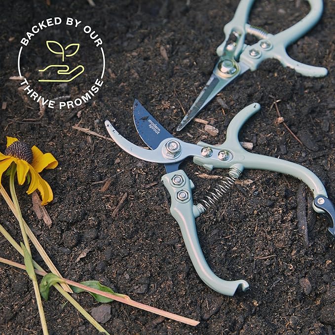 Modern Sprout Hand Pruners & Shears Set - Lightweight Gardening Tools W/Easy Lock - Sharp Carbon Steel Blades -Rust Resistant Scissors for Herbs, Flowers - Reusable Holster - Lavender